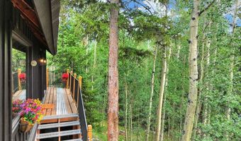 227 Roberts Rd, Alma, CO 80420