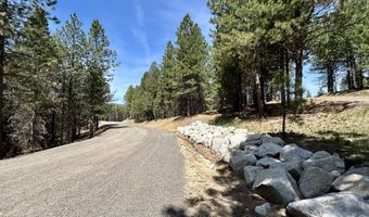 Sky Horse Drive lot 42, Cascade, ID 83611