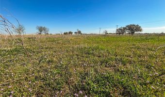 384 Cr-1475, Alvord, TX 76225