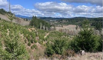 Northrup Creek Rd, Birkenfeld, OR 97016