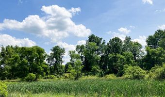 9260 92nd St SE, Alto, MI 49302