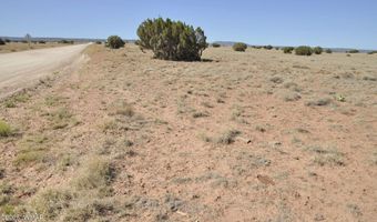 14 CR 5525, Concho, AZ 85924