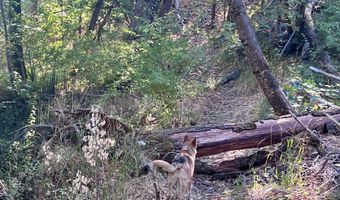 Timberlake Drive 391E25 132, Ashland, OR 97520