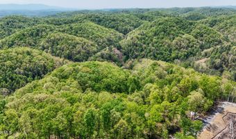 Tbd Green Springs Road, Abingdon, VA 24211