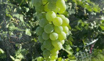 918 ROAD 4990, Bloomfield, NM 87413