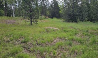 23 Sawtooth Loop, Cascade, ID 83611