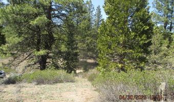 Night Owl Drive Lot 2, Bonanza, OR 97623