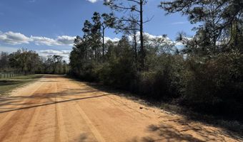 Monogahela Avenue, Alford, FL 32420