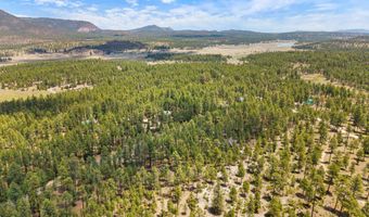 98 County Road 2266, Alpine, AZ 85920
