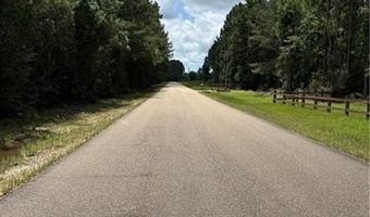 1 529 AC TRAPPERS RUN Lot 7, Albany, LA 70711