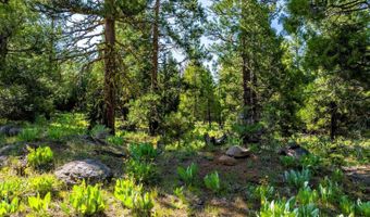 9454 Ridge Rd, Alturas, CA 96101