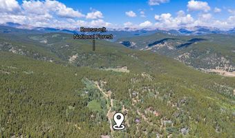 665 Lower Travis Gulch Rd, Black Hawk, CO 80422