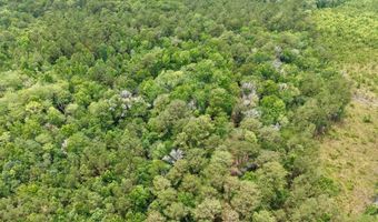 Fox Paw Court, Branchville, SC 29432
