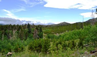 1256 Basking Dog Rd, Bellvue, CO 80512