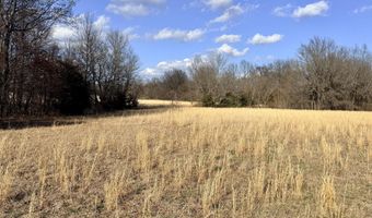 0001 CR-290, Asbury, MO 64832