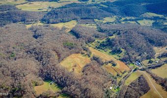 1520 Brittontown Rd, Afton, TN 37616