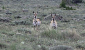 Ranger Way lot Bvr 942-2, Belfry, MT 59008