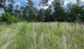 769 Club Cottage Dr, Blythewood, SC 29016