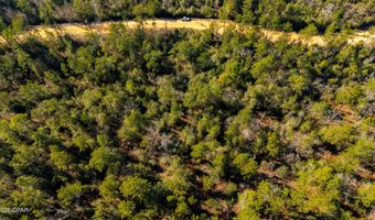 Rossville Avenue, Alford, FL 32420