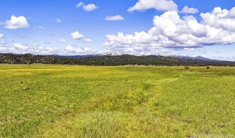 17 Gray Ln, Cascade, ID 83611