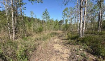 2125 Hwy 247, Belton, SC 29627