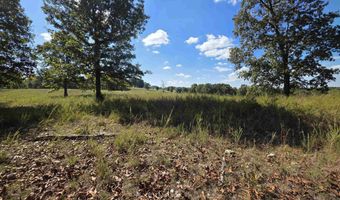 3013-3015 Possum Trot Rd, Ash Flat, AR 72513