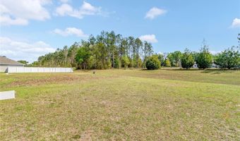 17499 NW 172ND Ave, Alachua, FL 32615