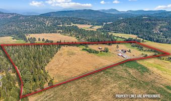 2228 BLUE CREEK Rd, Addy, WA 99101