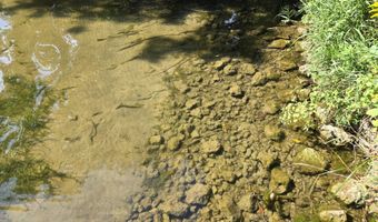 1 A55 Raindance 1A70 Blackhawk Lane, Apple River, IL 61001