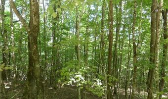 Tbd Old Mountain Road, Banner Elk, NC 28604