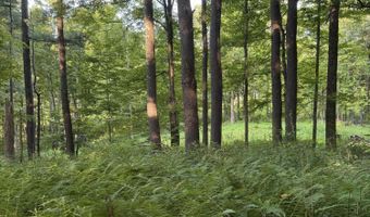 393 County Rte 2, Accord, NY 12404