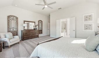 901 Twin Pine Ct, Anna, TX 75409