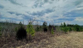 1500 PEACH ORCHARD Rd 1, Ashland, AL 36251