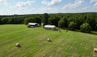 County Road 127, Banks, AL 36005