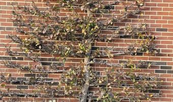 175 Applegate Ln, Bassett, VA 24055