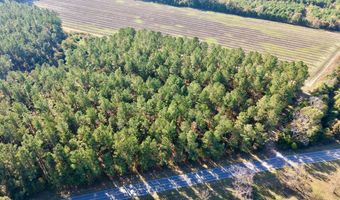 TBD Binnicker Bridge Road, Bamberg, SC 29003