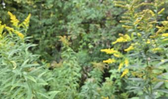 124-125 Prospect St 1230-VL00.0005  1230-VL0004, Barre, VT 05641