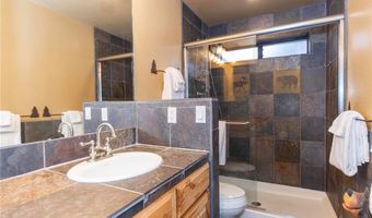 114 PARK FOREST Dr, Breckenridge, CO 80424