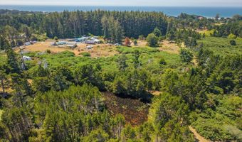 87363 Oberman Ln, Bandon, OR 97411
