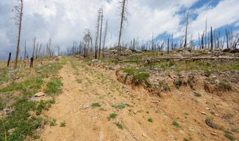 30 Sheep Horn Ct, Bellvue, CO 80512
