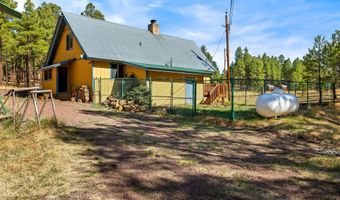17 County Road 2114, Alpine, AZ 85920