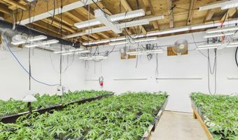 Fickle Hill Road, Arcata, CA 95521