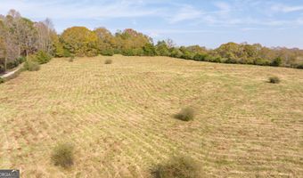 White Road unit Tract Two Tract Two, Alto, GA 30510