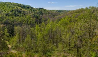 22 Still Hand Ln, Beattyville, KY 41311