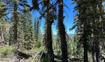 39 Liberty Rd, Arnold, CA 95223