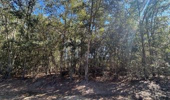 20 Ac Coot Adams Rd, Ashford, AL 36312