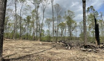 State Hwy N Tract G, Ava, MO 65608