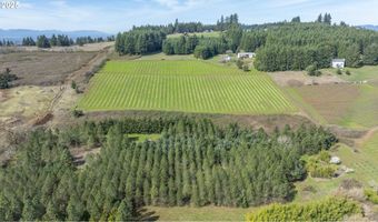 Three Trees Ln, Amity, OR 97101