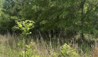 Double Pond Road, Blackville, SC 29817