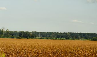 1037 Cr 300, Big Creek, MS 38914